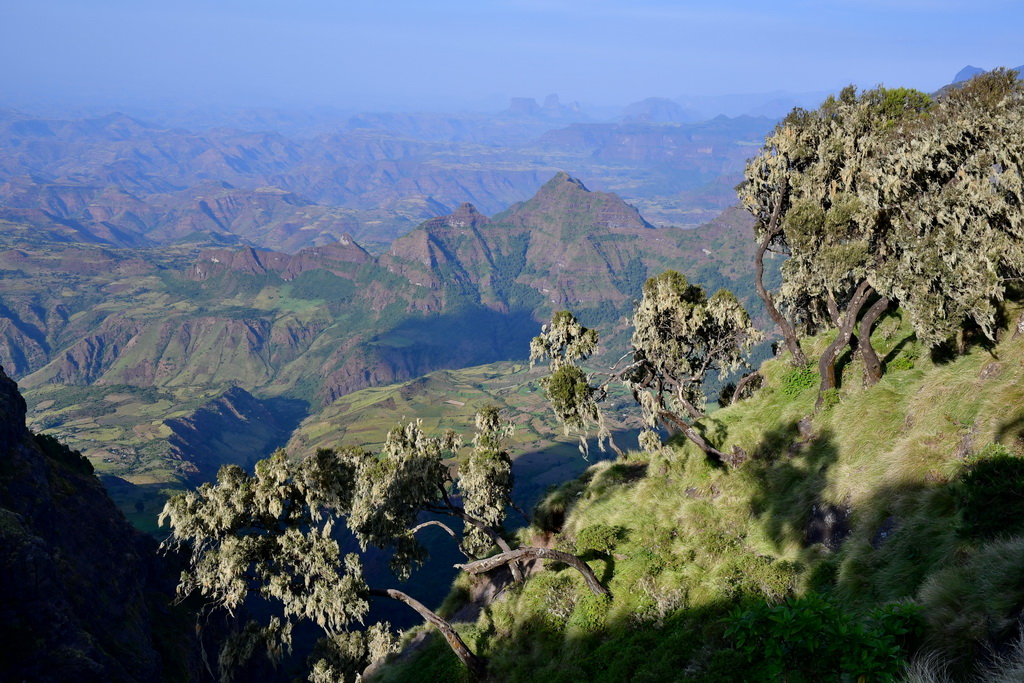 Simien Mountains N.P.